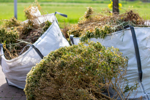 Best Commercial Cleanout Services  in Santaquin, UT
